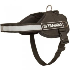 Nylon Samoyed Harness with Reflective Strap for Training, Walking, Police Service, SAR and More Nylon Samoyed Harness with Reflective Strap for Training, Walking, Police Service, SAR and More