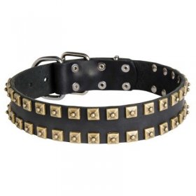 2 Rows Brass Studded Leather Samoyed Collar for Walking and Training 2 Rows Brass Studded Leather Samoyed Collar for Walking and Training