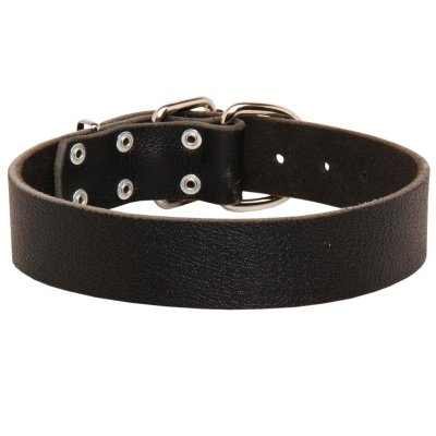 wide leather dog collars