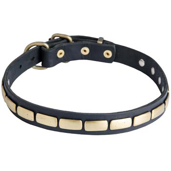Walking Leather Collar with Brass Decoration for Samoyed