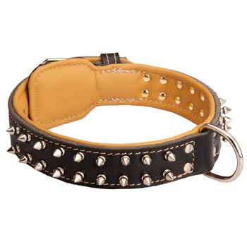 Samoyed Collar Leather Spiked Padded