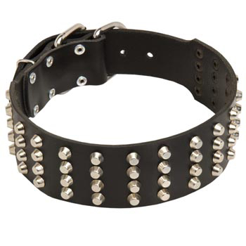 2 Inches Leather   Samoyed Collar Extra Wide Studded
