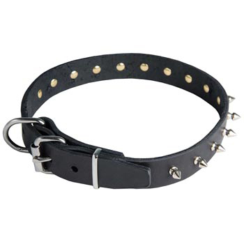 Samoyed Leather Collar with Spikes