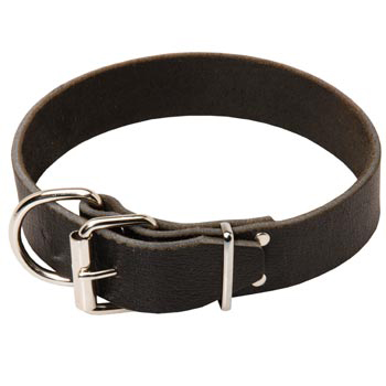 Samoyed Leather Collar
