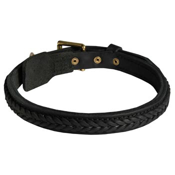 Braided Leather Collar for Samoyed