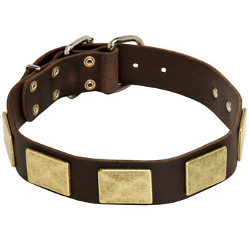 Leather Samoyed Collar with Fashionable Studs
