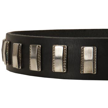 Stylish Leather Collar with Vintage Plates for Samoyed
