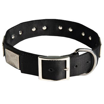 Designer Nylon Dog Collar Wide with Easy Release Buckle for   Samoyed