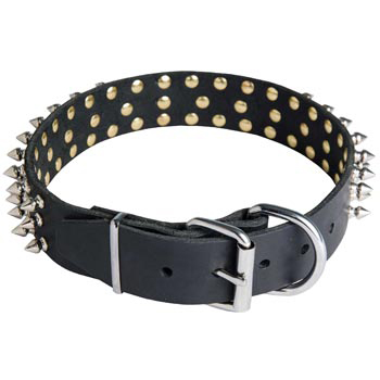 Spiked Buckle Collar for Samoyed