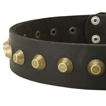 Leather Dog Collar with Brass Pyramids for Samoyed