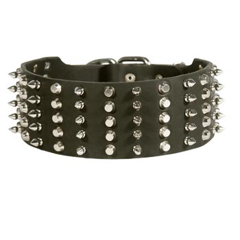 Samoyed Spiked Studded  Leather Collar