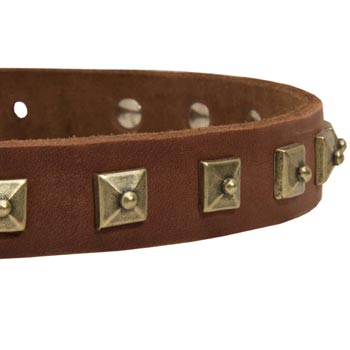 Samoyed Leather Collar With Square  Studs