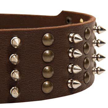 Samoyed Leather Collar with Rust-proof Fittings
