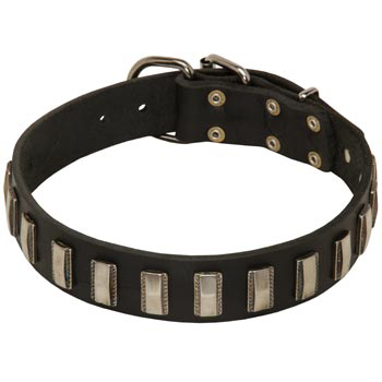 Walking Leather Dog Collar for Samoyed