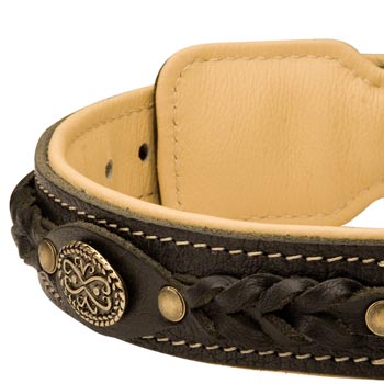  Leather Walking Fashion Collar for Samoyed