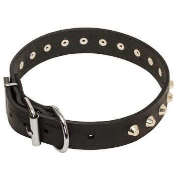 Training Walking Leather Dog Collar with Buckle for Samoyed