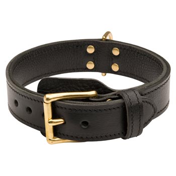 Samoyed  Leather Collar with Easy in Use Buckle