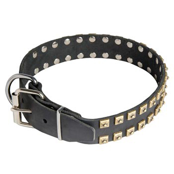 Leather Samoyed Collar with Solid Rivets
