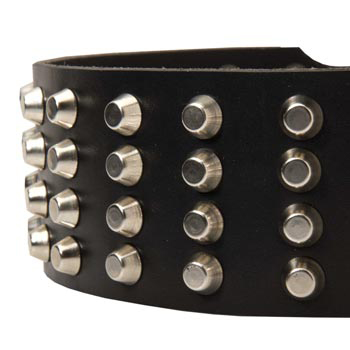 Leather Dog Collar with Studs for   Samoyed