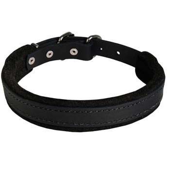 Samoyed Collar Leather for Dog Protection Attack Training