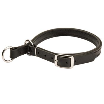 Samoyed Obedience Training Choke  Leather Collar