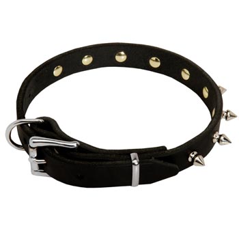 Samoyed Dog Leather Collar Steel Nickel Plated Spikes