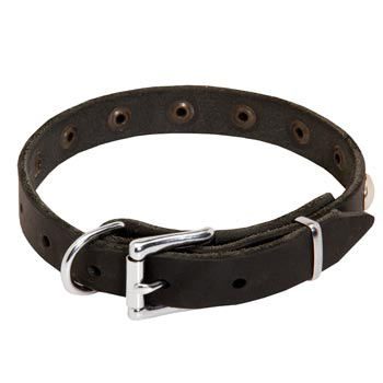 Leather Dog Puppy Collar with Steel Nickel Plated Studs for Samoyed