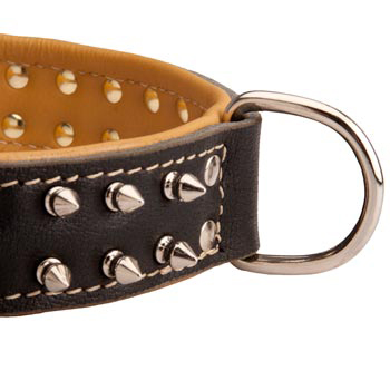 Padded Leather Samoyed Collar Spiked Adjustable for Training
