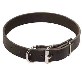 Dog Leather Collar for Samoyed Training and Walking