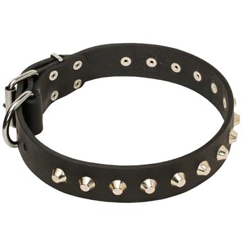 Soft Leather Samoyed Collar with Nickel Studs