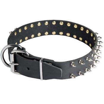 Spiked Leather Dog Collar for Samoyed Fashion Walking