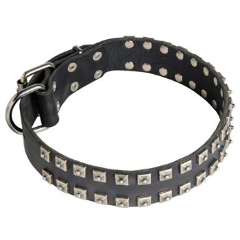 Leather Samoyed Collar Wide Strong Studded