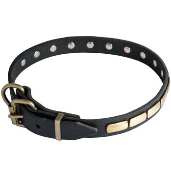 Samoyed Leather Dog Collar with Brass Buckle 
