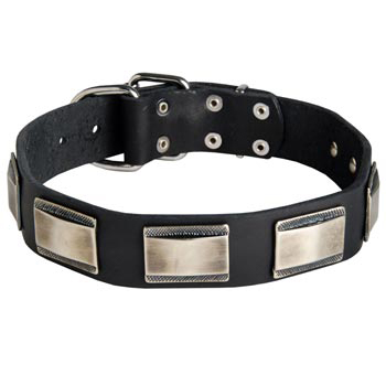 Leather Samoyed Collar with Solid Nickel Plates