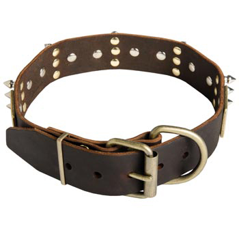 Spiked Leather Samoyed Collar