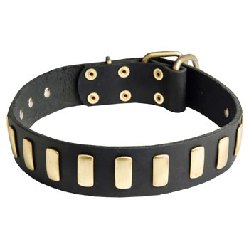 Samoyed Collar Leather with Brass Hardware