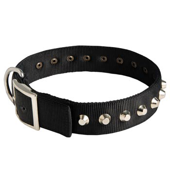 Nylon Buckle Dog Collar Wide with Studs for   Samoyed