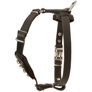 Leather Samoyed Puppy Harness for Comfy Walking