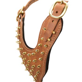 Brass Spiked Leather Samoyed Harness
