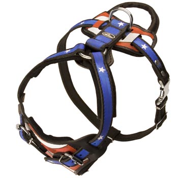 Leather SSamoyed Harness with Handle Stitched to Back Plate