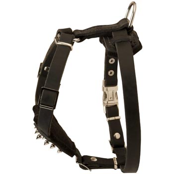 Samoyed Leather Harness for Puppy Walking and Training
