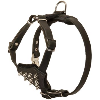 Samoyed Leather Puppy Harness with Attractive Nickel Decoration