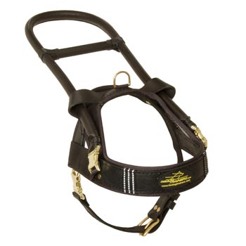 Samoyed Leather Guide Harness with ID Patches