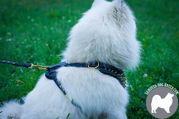 Hand-Made Spiked Leather Samoyed Harness with Irreplaceable Straps