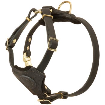 Light Weight Leather Puppy Harness for Samoyed