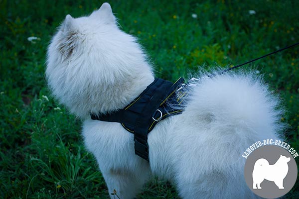Strong Nylon Samoyed Harness with Easy Quick Release Buckle for Tracking