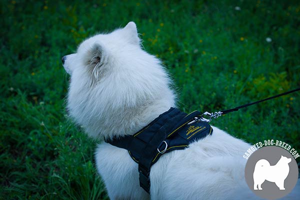 Comfy Nylon Samoyed Harness with Soft Back Plate