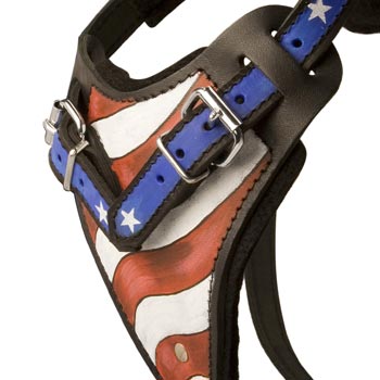 Samoyed Leather Harness With Hand Painted USA  Chest Plate