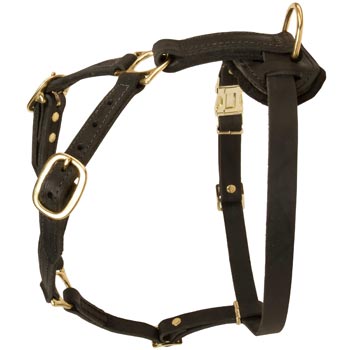 Tracking Leather Dog Harness for Samoyed
