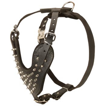 Spiked Leather Harness for Samoyed Walking